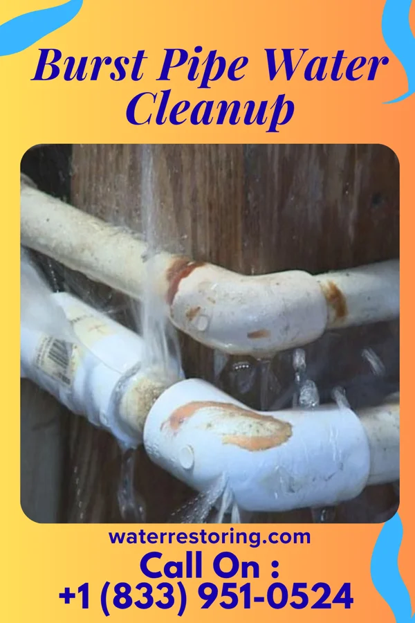 Burst Pipe Water Cleanup in Monroeville, PA