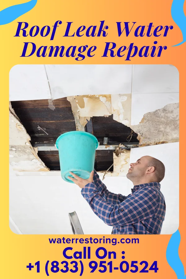Roof Leak Water Damage Repair in Monroeville, PA