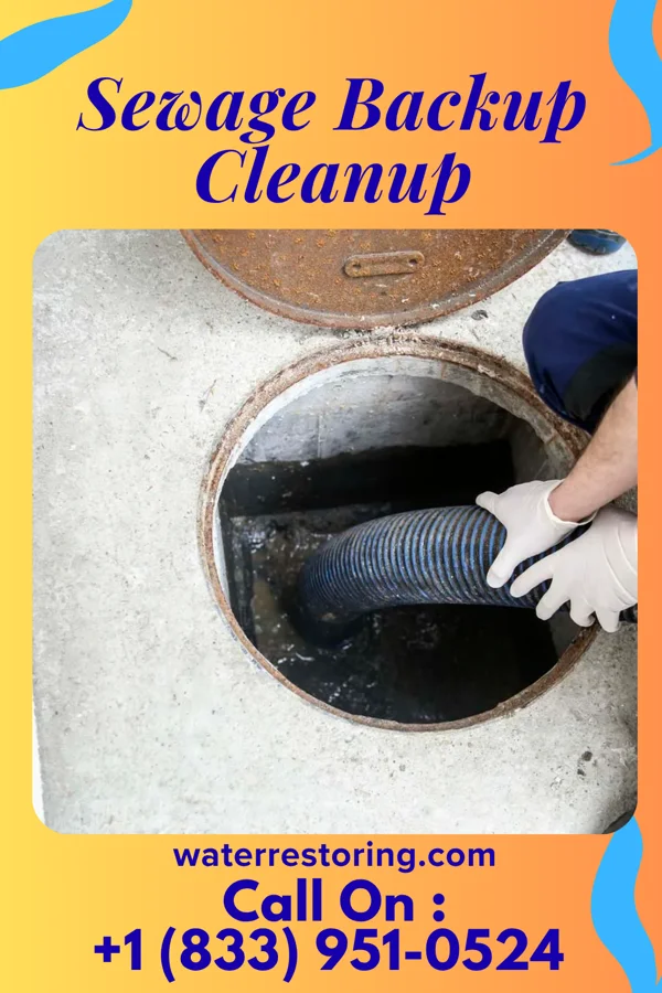 Sewage Backup Cleanup in Monroeville, PA