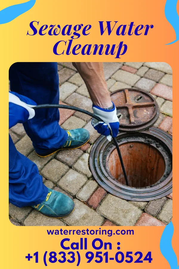 Sewage Water Cleanup in Monroeville, PA