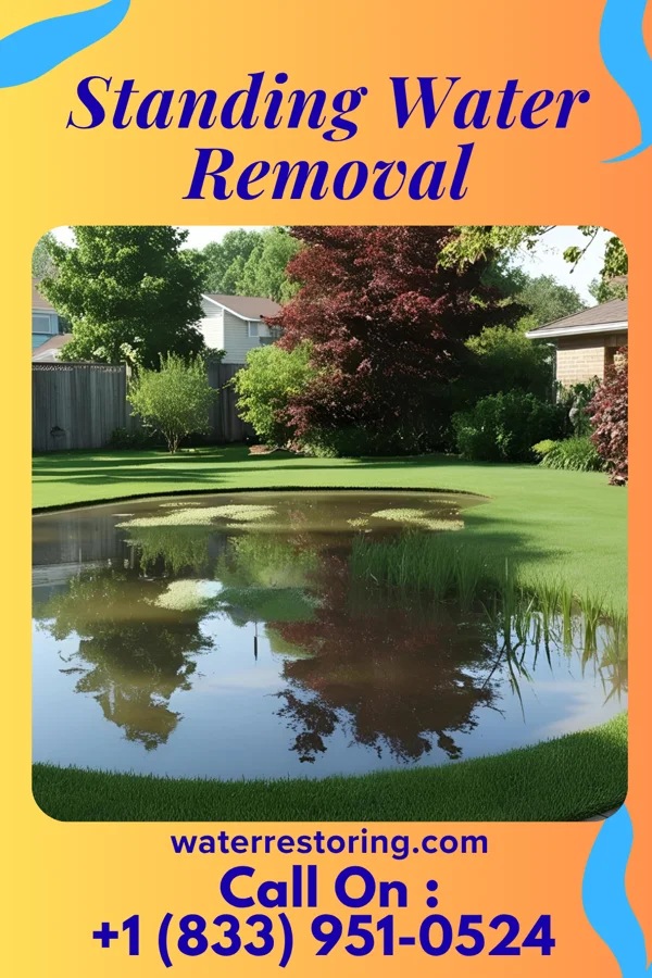 Standing Water Removal in Monroeville, PA